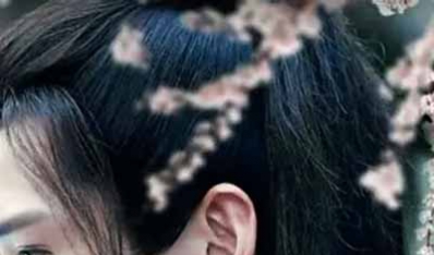 第一章　浩歌引凤