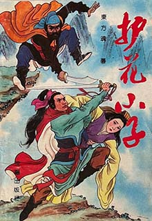 护花小子